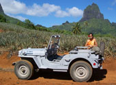 Bora Bora Navy Jeep restored